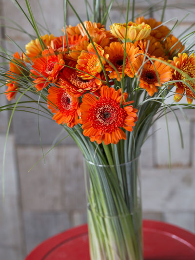 Orange Gerbera von Bunchmakers auf blumen.de