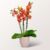 Orange Orchidee  von FloraPrima auf blumen.de