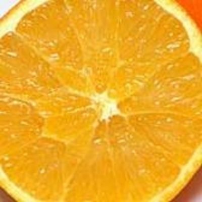 Orangenbaum aus Spanien -  Citrus sinensis fukumoto von Der Palmenmann auf blumen.de