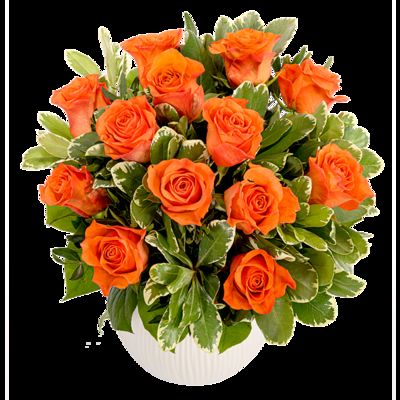 Oranger Rosenstrauß von FloraPrima auf blumen.de