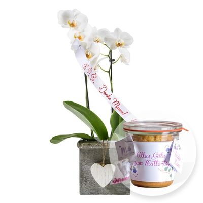 Orchidee im Holztopf zum Muttertag von Valentins auf blumen.de