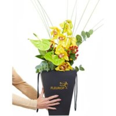 Orchidee und Anthurie von Fleurop auf blumen.de