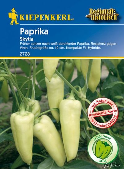 Paprika ´Skytia´ von Garten Schlüter auf blumen.de