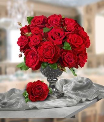 Parfum-Rose ´Le Rouge et le Noir®,´ von BALDUR-Garten auf blumen.de