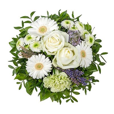 Petit Blanc - Kleiner Weißer von Valentins auf blumen.de