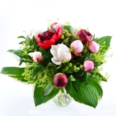 Pfingstrosentraum von BestFlowers auf blumen.de