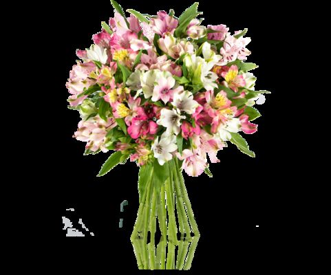 Pink Paisley von MIFLORA auf blumen.de