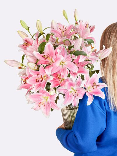 Pink Stars von Fleurop auf blumen.de