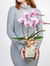 Pinke Orchidee  von Fleurop auf blumen.de