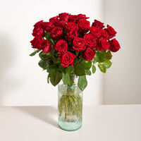 Premium-Rosen in Rot  von Blume2000.de auf blumen.de