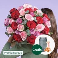 Premium Rosen von FloraPrima auf blumen.de