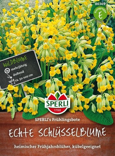 Schlüsselblume SPERLI´s Frühlingsbote von TOM-GARTEN auf blumen.de