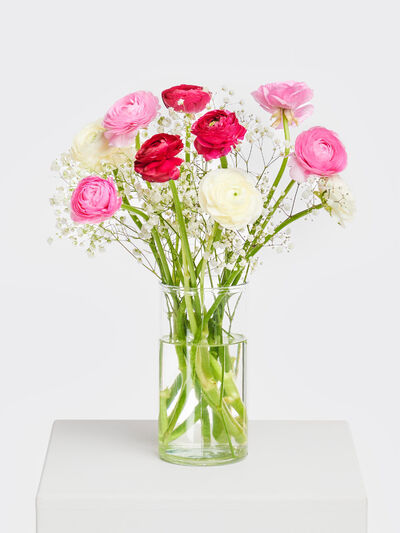 Ranunkeln in Pink-Rosa von Fleurop auf blumen.de