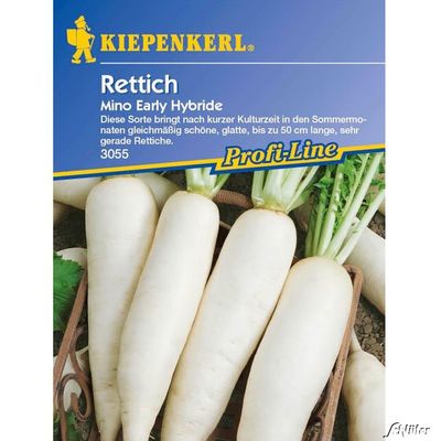 Rettich ´Mino Early Hybride´ von Garten Schlüter auf blumen.de