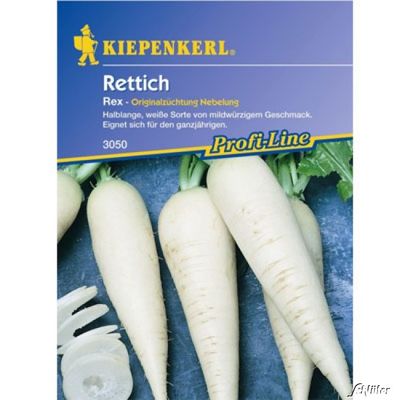 Rettich ´Rex´ von Garten Schlüter auf blumen.de