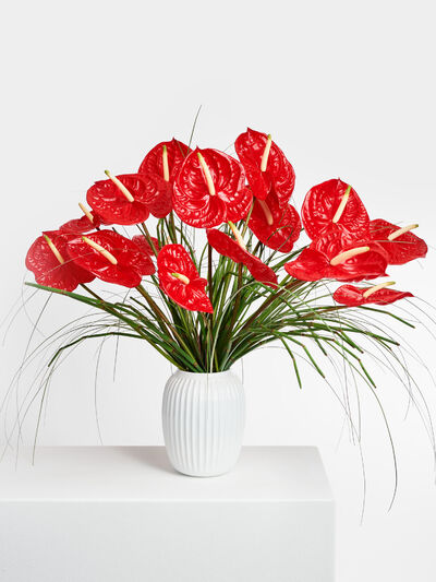 Rhythms of Flamenco von Fleurop auf blumen.de
