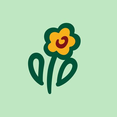 Riesen-Weihnachtsstern  von FloraPrima auf blumen.de