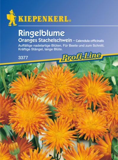 Ringelblume Oranges Stachelschwein von Olerum.de auf blumen.de
