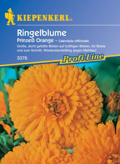 Ringelblume Prinzeß Orange von Olerum.de auf blumen.de