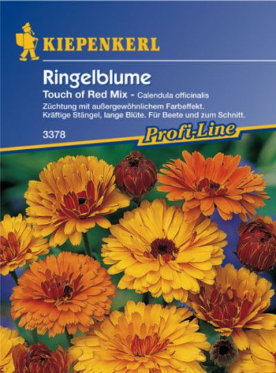 Ringelblume Touch of Red - Mix von Olerum.de auf blumen.de