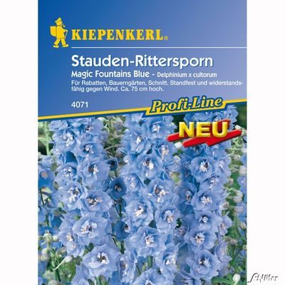 Rittersporn ´Magic Fountains Blue´ von Garten Schlüter auf blumen.de