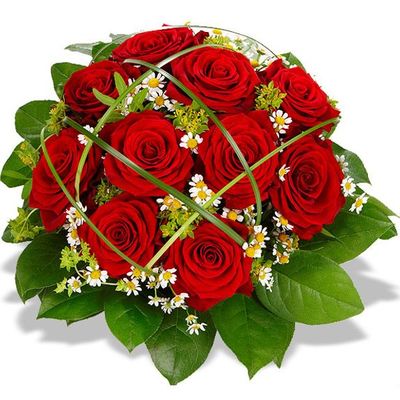 Romantika von Florito FlowerPost auf blumen.de