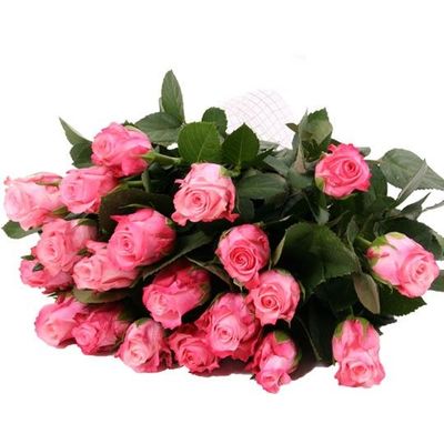 Rosa Rosen im Bund (ab 10 Stück) von Blumenfee auf blumen.de