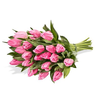 Rosa Tulpen pur von Fleurop auf blumen.de