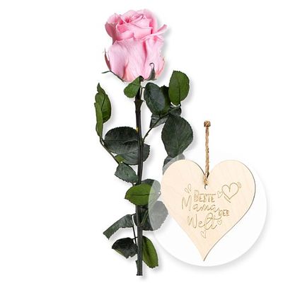 Rosafarbene Infinity-Rose  von Valentins auf blumen.de