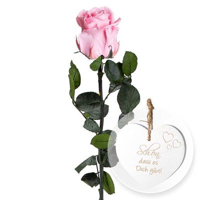 Rosafarbene Infinity-Rose  von Valentins auf blumen.de