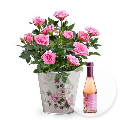 Rosafarbene Rose im romantischen Nostalgie-Topf von Valentins auf blumen.de