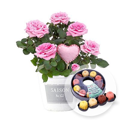 Rose im Topf und Kaffeekränzchen von Valentins auf blumen.de