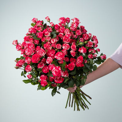 Rosen Fireworks  von Blume2000.de auf blumen.de