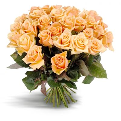 Rosen in apricot von Flowers-deluxe auf blumen.de