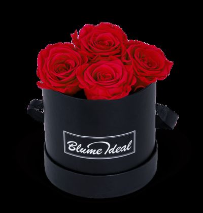 Rosenbox Infinity Red von Blume Ideal auf blumen.de