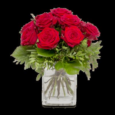 Rosenkavalier von Fleurop auf blumen.de