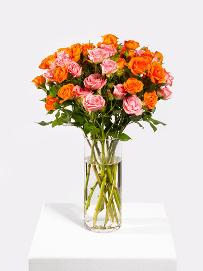 Rosenromantik von Fleurop auf blumen.de