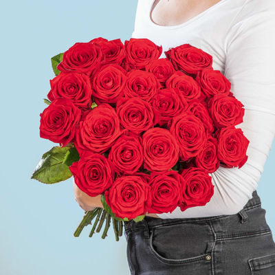 25 Premium-Rosen in Rot von Blume2000.de auf blumen.de