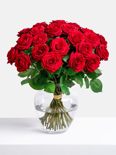 Rosenwunder von Fleurop auf blumen.de