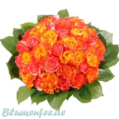 Rosenzauber von Blumenfee auf blumen.de