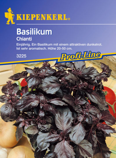 Rotblättriges Basilikum `Chianti` von Pflanzenwelt Biermann auf blumen.de