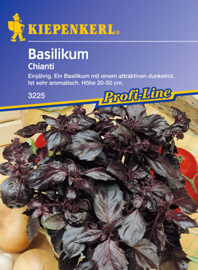Rotblättriges Basilikum `Chianti` von Pflanzenwelt Biermann auf blumen.de