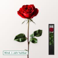 Rote haltbare Rose  von FloraPrima auf blumen.de