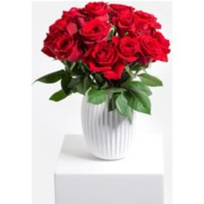 Rote Rosen von Fleurop auf blumen.de