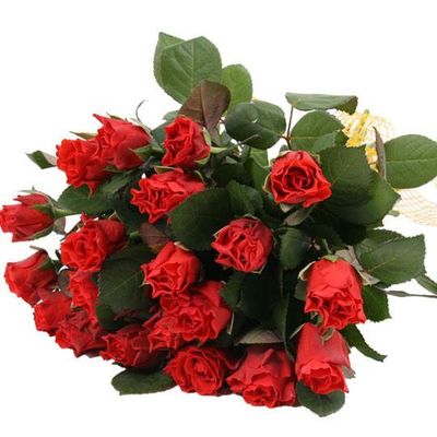 Rote Rosen im Bund mit Schleife von Blumenfee auf blumen.de