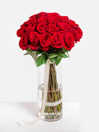 Rote Rosen von Fleurop auf blumen.de