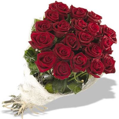 Rote Rosen von Florito FlowerPost auf blumen.de