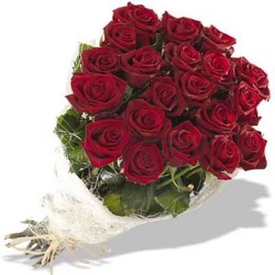Rote Rosen von Florito FlowerPost auf blumen.de