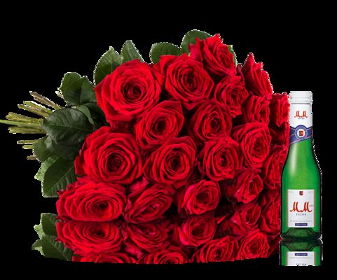 Rote Rosen von MIFLORA auf blumen.de