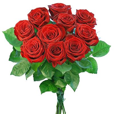 rote Rosen von Valentins auf blumen.de